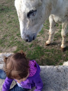 ¡Ay! ¡Qué te come el pelo!