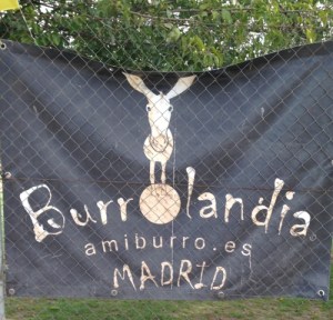 Burrolandia: www.amiburro.es