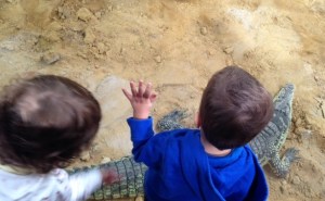 See you later alligator!