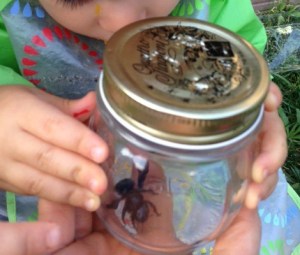 See you later alligator!