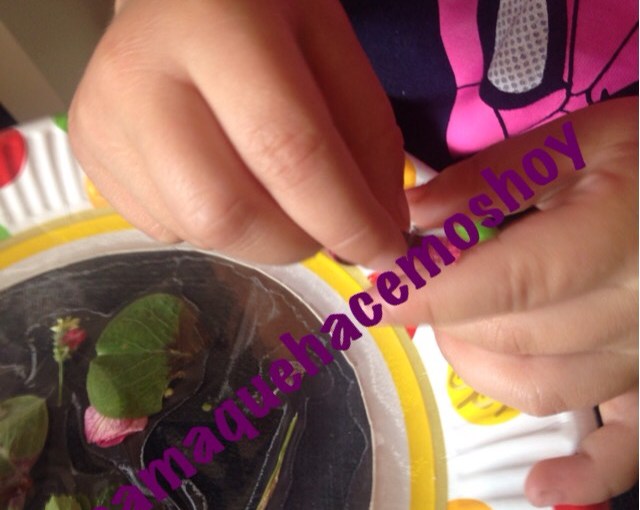 Atrapasoles – Suncatchers